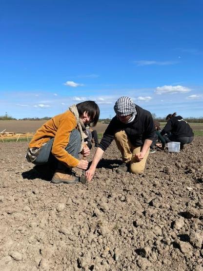 Two people are crouched on light brown soil, one puts a shovel in the earth while another puts an onion seed in the hole