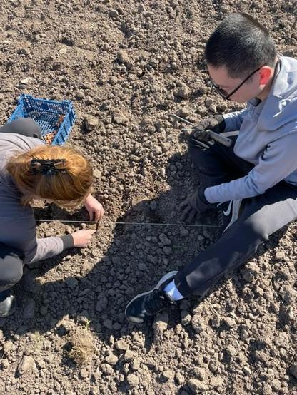 Two people sit on the ground touching soil seen from above. You can see a string on the ground between them. A blue plastic box on the ground holds many onion seeds.