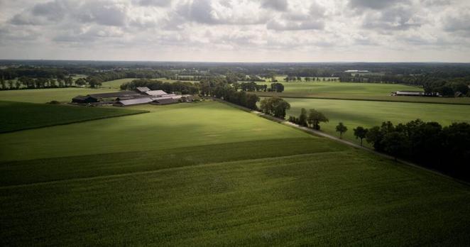 Netherlands delays nitrogen emissions target, defying its own judges and the EU – POLITICO