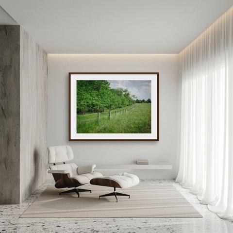 We've got a whole gallery just for Saving the Earth. Check it out! 
https://www.chrisboese.photo/savingtheearth