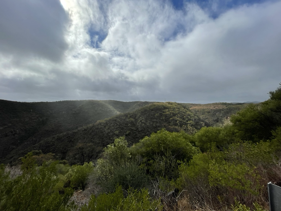 A view of morialta conservation park