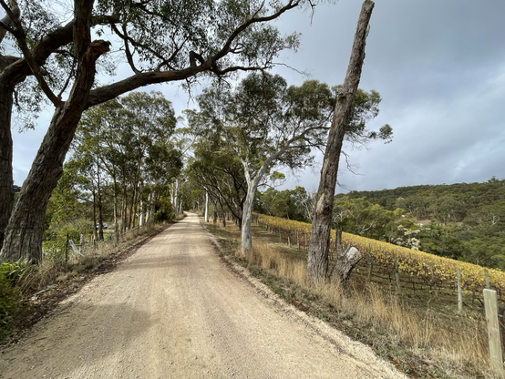 A gravel road