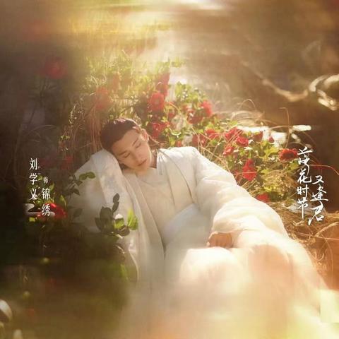Liuxieyi in Love Never Fails