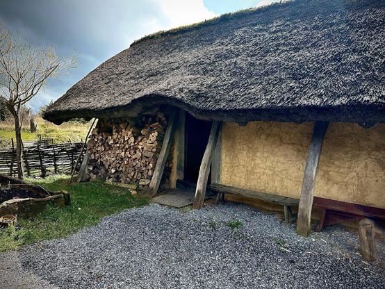 This image features a traditional thatched-roof structure, which appears to be a storage shed or a small rustic building. It is constructed with exposed wooden beams and has a thick, sloped thatch roof that extends down close to the ground on one side, where it covers a large stack of firewood. The walls of the building are plastered with a rough material, giving it a rustic look. The setting appears to be rural, with a gravel ground in the forefront, a wooden fence visible in the background to the left, and some barren trees, possibly indicating the capture of the image in late autumn or winter. This type of building is characteristic of historical or rural settings and is often used for storing tools, wood, or other farm supplies.