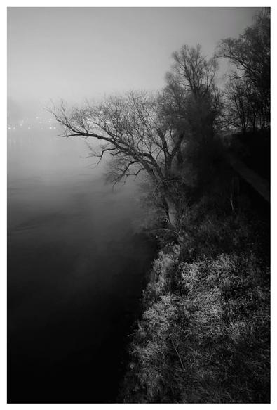 Black and white photo of a river on the left, the horizon disappearing in the fog and a tree, right of the river.
