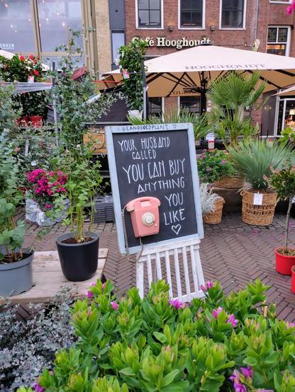 Foto eines Blumenstandes mit Fokus auf eine kleine Tafel. Darauf ist ein Telefon zu sehen und der Spruch: your husband called, you can buy anything you like.