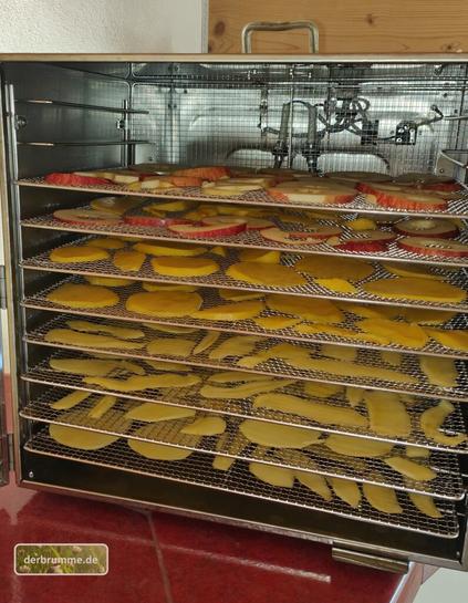Blick ins Dörrgerät: Die unteren 6 Gitter sind mit Mangoscheiben belegt, darüber 2 Etagen mit Apfelscheiben. 2 weitere Einschübe sind noch leer.