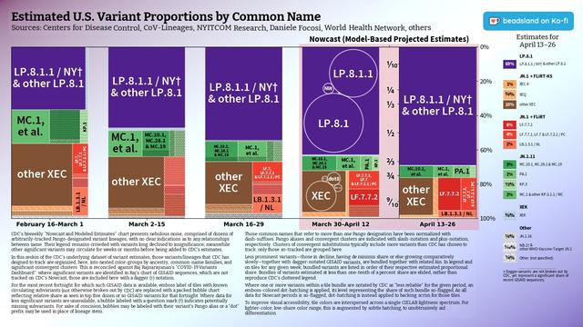 Chart: Estimated U.S. Variant Proportions by Common Name
Sources: Centers for Disease Control, CoV-Lineages, NYITCOM Research, Daniele Focosi, World Health Network, others

[ beadsland on Ko-fi ]

Reskin of CDC's Variants Nowcast, and any significant variants in GISAID not broken out by CDC.

Five bar-style tree-charts, for fortnights through April 13–26. Legend of last fortnight, organized by subheadings of color-grouped families and convergent clusters. Percentages overlay each color key, reflecting share as of most recent tree-chart.

Essentially all WHO-Vaccine-Target JN.1. LP.8.1 accounts for over two thirds; JN.1 + FLiRT for near a quarter.

For fortnight of 3/30–4/12, packed bubble charts fill single-variant tiles, indicating diversification of those variants (per GISAID) that wouldn't otherwise be apparent from CDC's Nowcast.

Legend:

LP.8.1 [purple]:
69% - LP.8.1.1 / NY† & other LP.8.1

JN.1 + FLiRT-KS [browns]:
1% - XEC.4
¾% - XEQ
10% - other XEC

JN.1 + FLiRT [reds]:
6% - LF.7.7.2
4% - LF.7.7.1, LF.7 & LF.7.2.1 / PC
2% - LB.1.3.1 / NL

JN.1.11 [greens]:
3% - MC.10.1, MC.28.1 & MC.19
2% - PA.1
½% - KP.3
2% - MC.1 & other KP.3.1.1 / MC

XEK [blue]:
⅜% - XEK

Other [greys]:
⅙% - JN.1.16
⅒% - NB.1† & other WHO-Vaccine-Target JN.1
¼% - Other (not specified)

† Dagger variants are not broken out by CDC, yet represent a significant share of recent GISAID sequences.