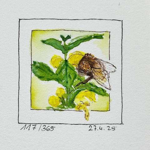 Eine Aquarellillustration, die eine Biene auf einer Pflanze mit gelben Blüten und grünen Blättern zeigt.