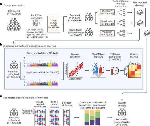 Integrating the environmental and genetic architectures of aging and mortality