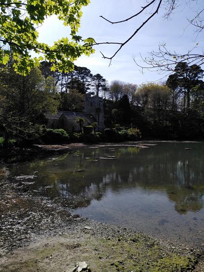 a very old and small church sits on with side of a small lake within loads of trees. it looks like a hidden, secret church in an enchanted forest