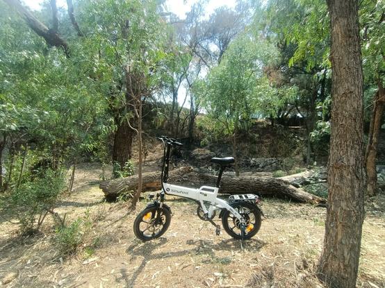a photo of a black and white ebike in front of a falle tree.