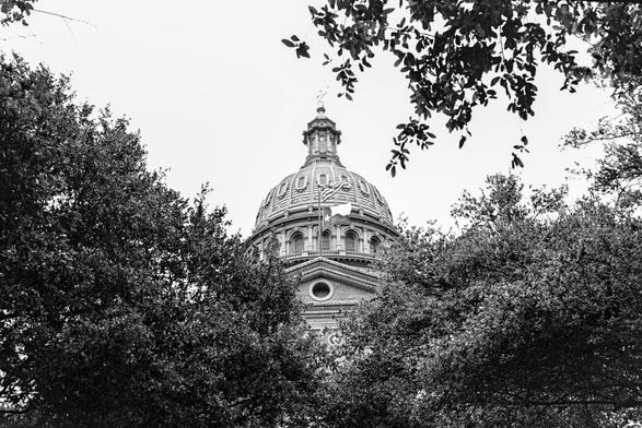 Dome of the Texas Capitol through some trees.