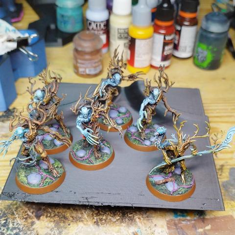 A finished set of Sylvaneth miniatures