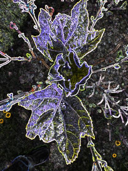 A digitally enhanced image of blooming oak leaf hydrangea leaves, featuring vivid neon-like outlines in shades of yellow, white, and purple against a textured, painterly background of tangled branches and muted groundcover. The image highlights the fresh, crinkled texture of the new leaves and evokes a sense of energetic spring emergence.