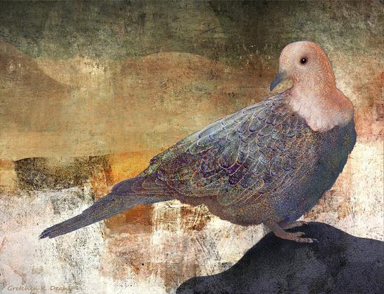 On a highly textured background of golds, rust and greens, stands a single mourning dove in muted blues, grays and peach. NOTE: This description created especially for my lovely blind friend, Georgiana. :-)