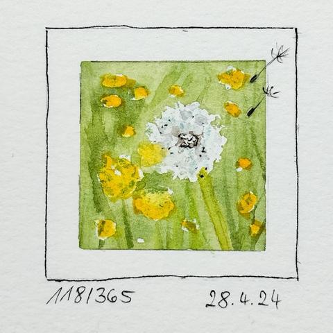 Ein kleines Aquarell, das eine Feldszene mit weißem Löwenzahn und gelben Blumen vor grünem Hintergrund darstellt.