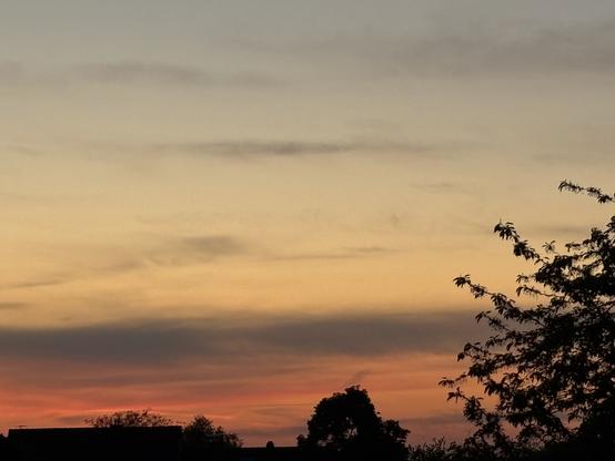 Am rechten unteren Bildrand ragt die Baumkrone eines Baumes als Silhouette ins Bild. Im Hintergrund der schleirig gestreifte bewölkte Himmel im Übergang vom Tag zur Nacht geht der Himmel von kräftig orange über ein Hauch rosa in graues Gelb über von unten nach oben. Die Sonne ist nicht mehr zu sehen und wirft ein allerletztes Licht über den gesamten Himmel.
