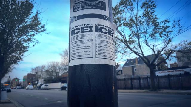 Poster on city pole that states "Do not open the door for ICE" in Spanish and English and other important advice for ICE raids, Chicago IL