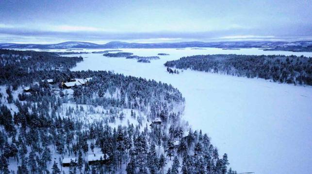Finland wolverine