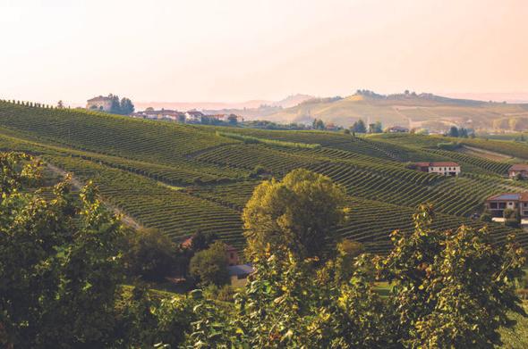 Expert's Choice: Asti - Decanter