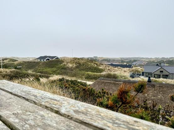 The image shows a coastal landscape, possibly in a dune area. There are several houses nestled among the dunes, some with traditional pitched roofs and others appearing to have grass or vegetation on their roofs, possibly for insulation and aesthetic harmony with the surrounding natural environment. The vegetation is typical of beach dunes, including grasses and shrubs, adapted to sandy and windy conditions. The foreground features an old wooden railing, indicating a viewing point or pathway. The sky is overcast, suggesting a cool or damp climate, common in coastal regions.