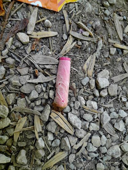 A roach with red tip lies in the gravel
