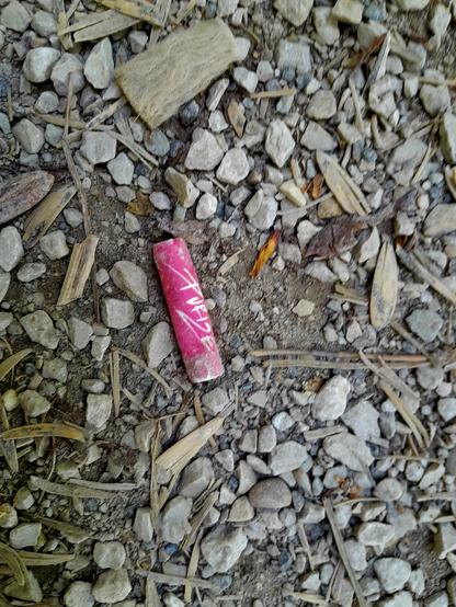 A roach with red tip lies in the gravel.