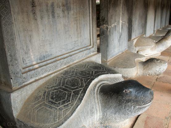 Large turtles with inscription-bearing steles carved from stone.