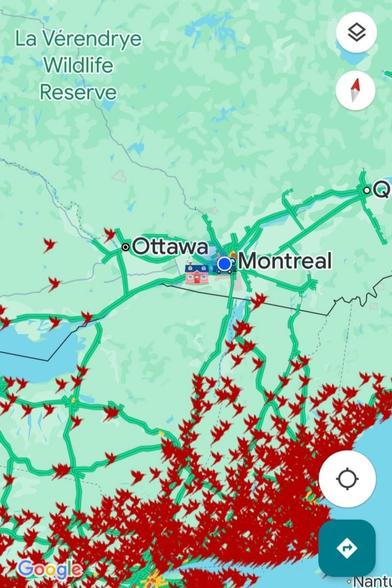 On voit un carte du sud du Québec avec imagé, pleins de petits oiseaux aux portes de la frontière canadienne !