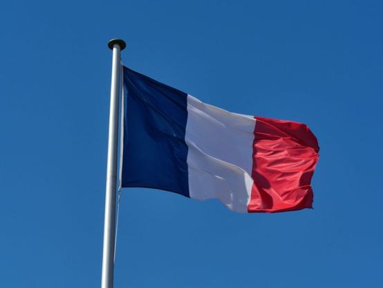 France Unveils Charter To Promote High-Integrity, Paris-Aligned Carbon Credit Use