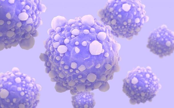 pancreatic cancer cells