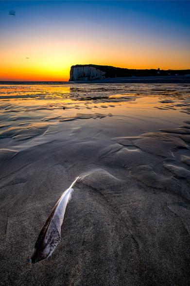 Sandstrand am Meer kurz vor Sonnenaufgang. Im Hintergrund sind Klippen zu sehen, im Vordergrund liegt dekorativ eine Feder im Sand.