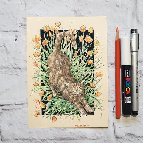 A small drawing of a brown tabby cat stretching in a flowerbed filled with orange flowers. The drawing is on cream toned paper with a black background. 
An original art work
Colour pencil and mixed media on acid free toned artist paper
5 by 7 inches (12.7 by 17.8 cm).
Sold unframed