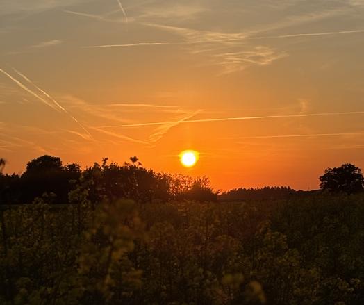 Im Vordergrund ein fast im Dunkel liegendes Raps-Feld, in welchen die Blüten gelb durch leuchten. Am Horizont sind die Silhouetten von Bäumen erkennbar. Darüber bemalt die im untergehen befindliche Sonne über dem Horizont in kräftig orangenen Farben den leicht bewölkten Himmel. Die Sonne selbst schwebt als Feuerball über dem Horizont.