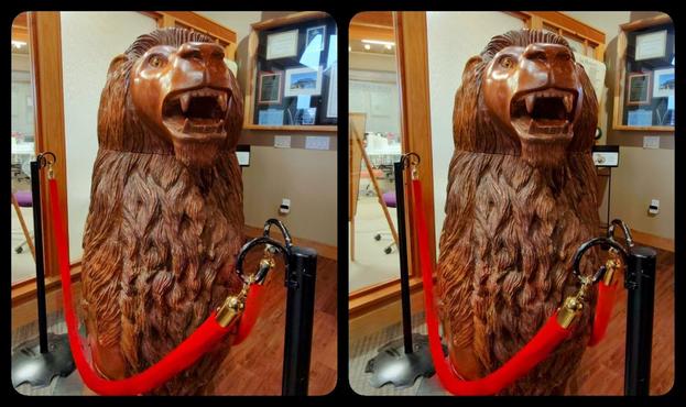 A varnished, but unpainted carousel lion on display in a museum setting, behind a red velvet rope.