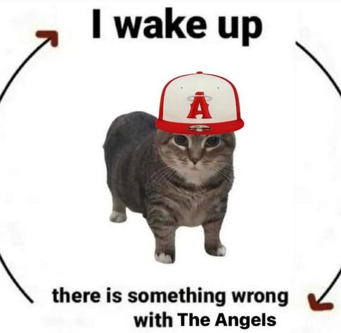 trout hurt again bro why can’t we have anything good