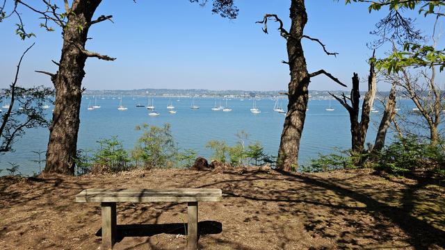 A bench sits at a viewpoint fringed with pine trees. The view is of blue water dotted with boats, with land on the horizon.