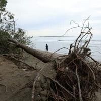 Booming tourism and climate change threaten Albania's coast | News