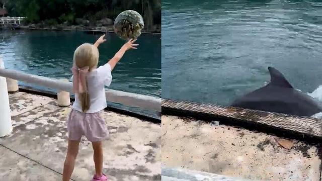 A curious girl spots a playful dolphin. Then pure magic unfolds.