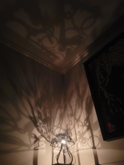 Sur la photo, les ombres des chandelles allumées dans le chandelier. On voit les 2 étages d'ombres se superposer.