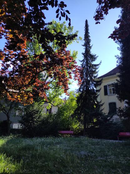 Foto. Park.