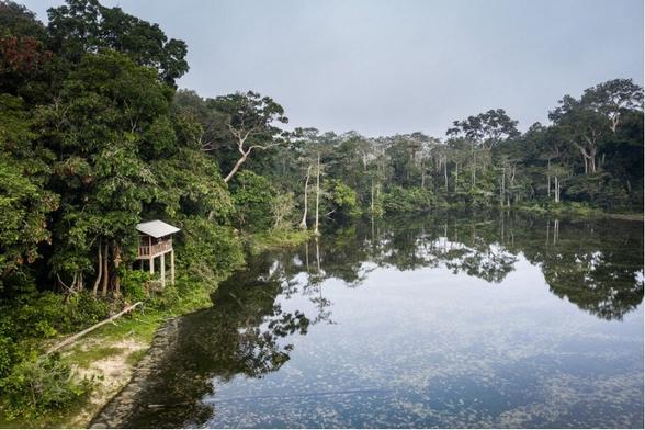 Finance Backs New Approach to Protect Vital Forest Ecosystems