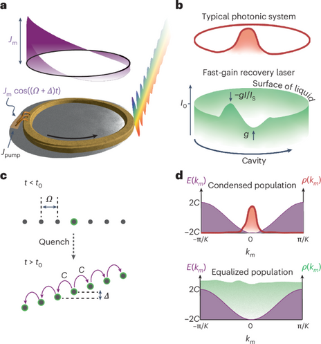 Collective quench dynamics of active photonic lattices in synthetic dimensions