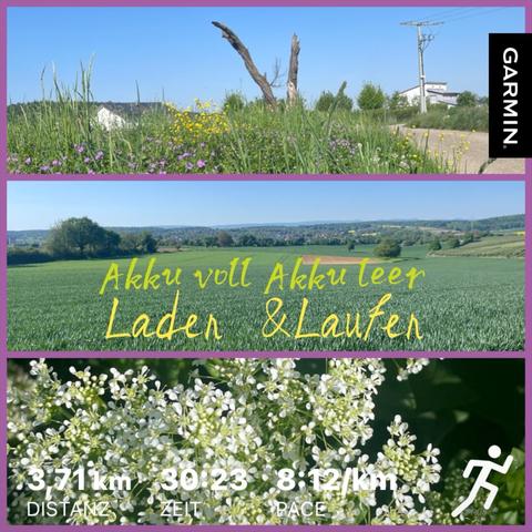 Quadratische Kachel in drei Bilder unterteilt. Titel:
Akku voll Akku leer.
Laden und laufen.
Oberes Bild: von einem tiefen Standpunkt aus über eine Wiese ist ein abgestorbener Baum fotografiert, dessen Stämme ein V bilden. Darüber blauer Himmel.
Mittleres Bild: Blick über eine hügelige Landschaft mit einzelnen Bäumen und Büschen im Vordergrund ein grünes Feld.
Unteres Bild: viele kleine weiße Blüten.
Distanz 3,7 km.
Zeit 30:23
Pace 8:12 /Kilometer