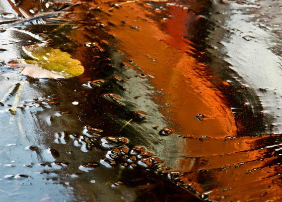 It is an abstract image created by a reflection in a frozen pond. Top left a yellow frozen lily pad, Light blue, red and black diagonal stripes, of which an orange red is the most striking. Shiny as silk. Actually too difficult to describe