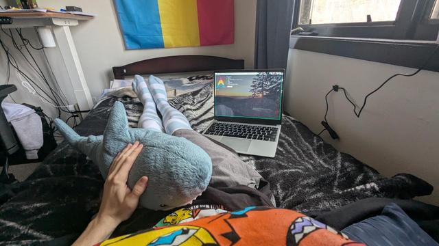 Me sitting up in bed wearing programmer socks and pawloroid shirt while petting my blahaj with my laptop open to hyfetch