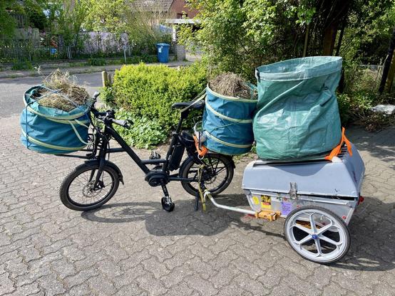 Ein Fahrrad mit zwei großen GepäckTrägern und LastenAnhänger ist hoch beladen mit mehreren großen Säcken voller GartenAbfälle.