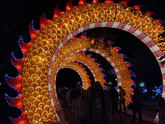 A walkthrough lit display of dragon coils