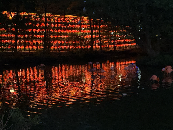 A closer view of the same scene
